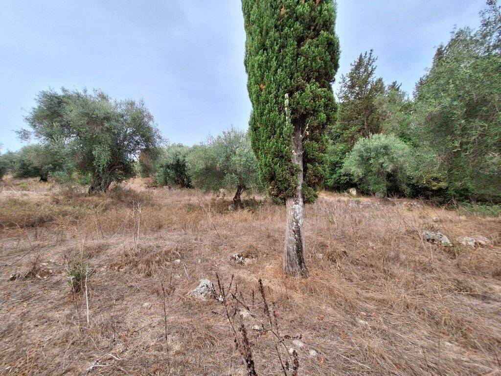 Detached - Grekodom 60780|905118