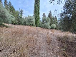 Detached - Grekodom 60780|905120