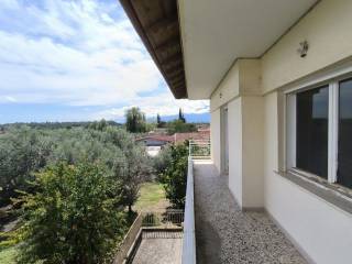 Detached - Grekodom 60779|905066