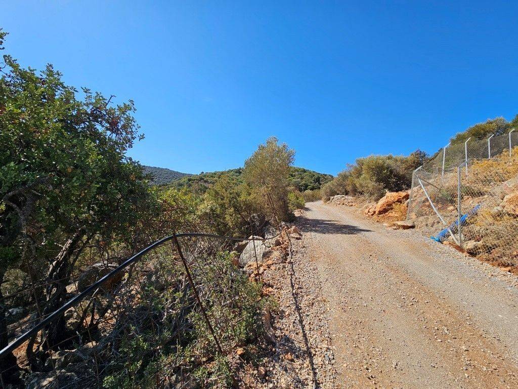 Plot - Grekodom 60862|907832