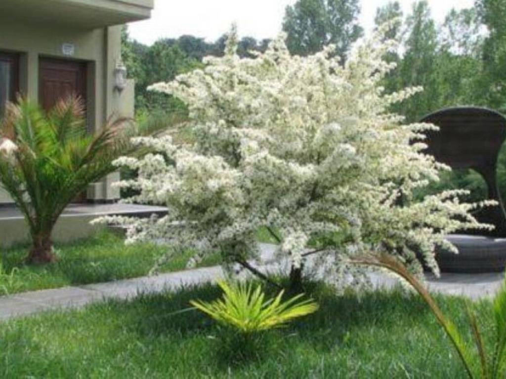 Hotel - Grekodom 60956|911951