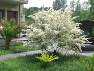 Hotel - Grekodom 60956|911951