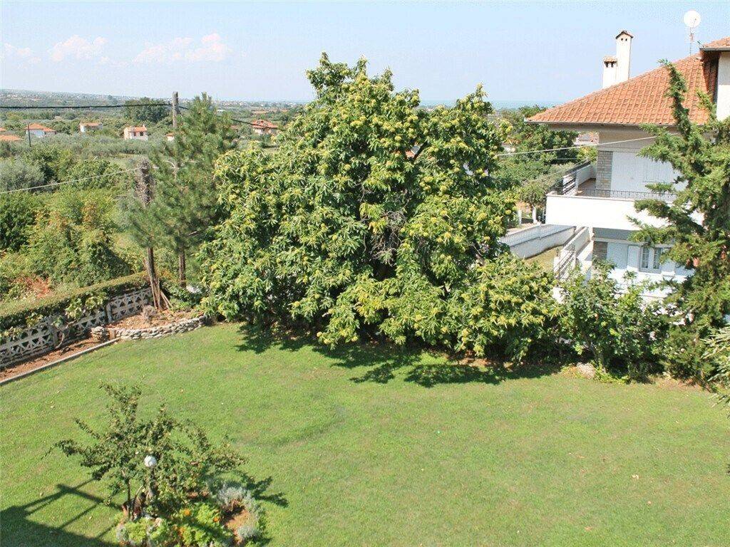 Detached - Grekodom 61010|913518