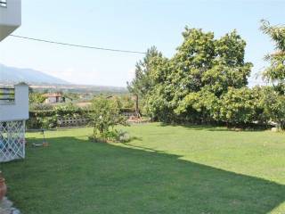 Detached - Grekodom 61010|913524