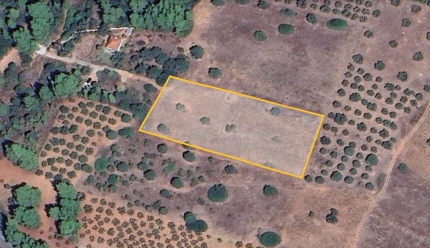 Plot - Grekodom 60987|912670