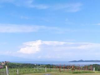 Plot - Grekodom 61090|915629