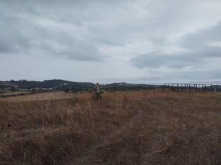 Plot - Grekodom 61090|915631