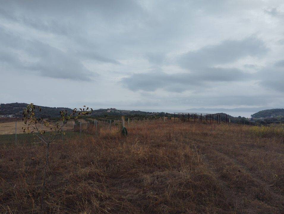 Plot - Grekodom 61090|915632