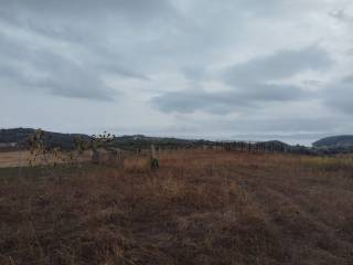 Plot - Grekodom 61090|915632