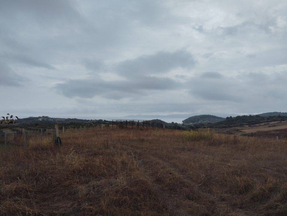 Plot - Grekodom 61090|915634