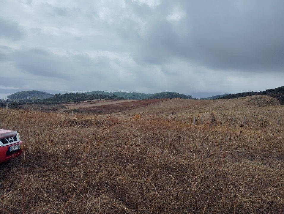 Plot - Grekodom 61090|915637