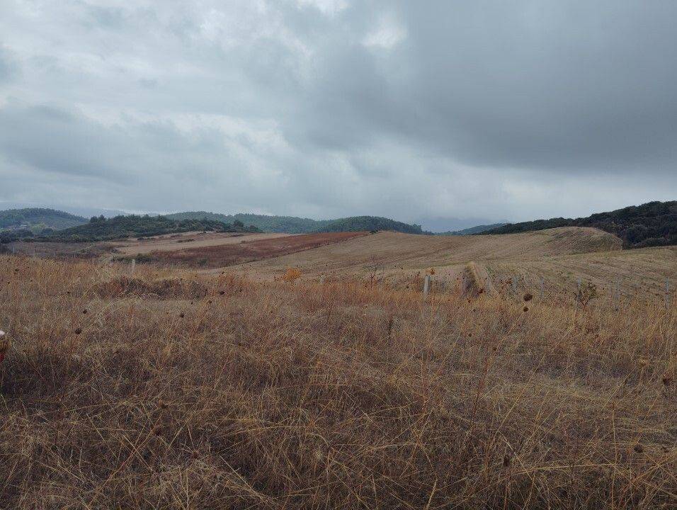 Plot - Grekodom 61090|915639