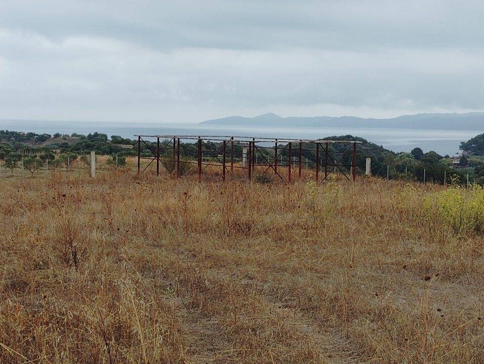 Plot - Grekodom 61090|915648