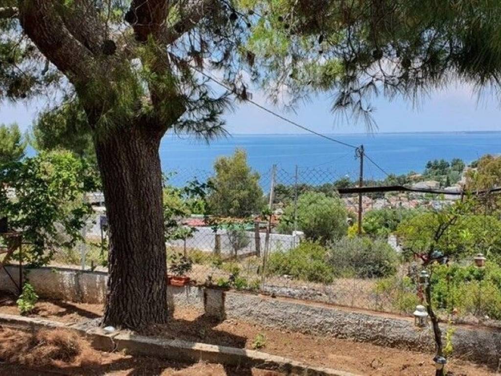 Maisonette - Grekodom 61184|917462