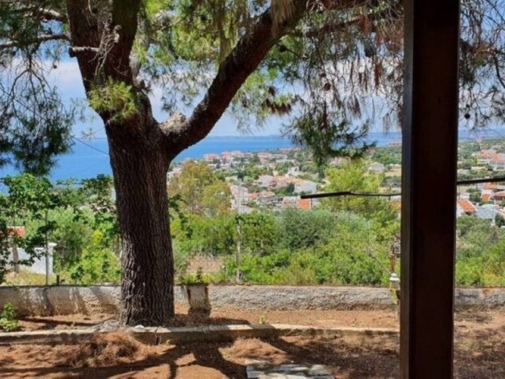 Maisonette - Grekodom 61184|917475