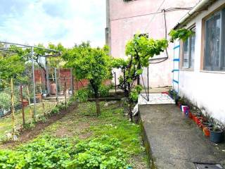 Detached - Grekodom 59188|853994