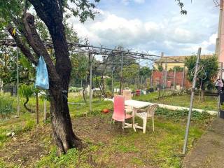 Detached - Grekodom 59188|968609