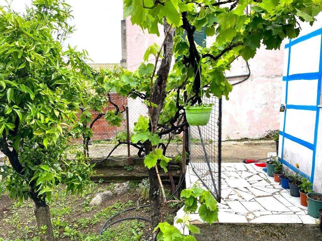 Detached - Grekodom 59188|853996