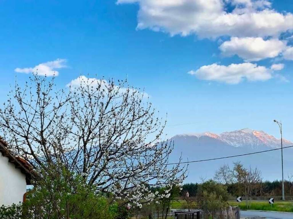 Plot - Grekodom 58544|843300