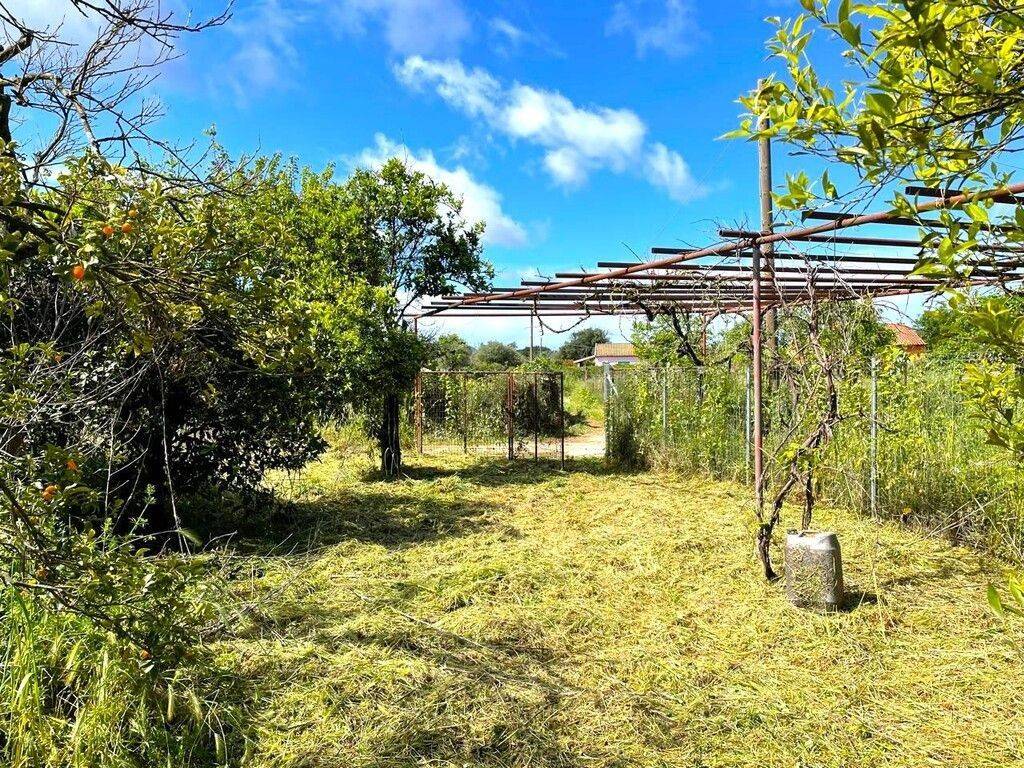 Plot - Grekodom 59230|857233