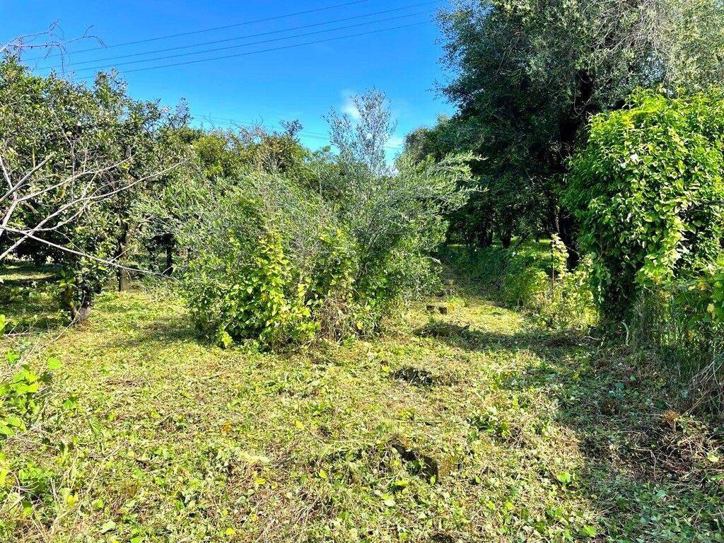 Plot - Grekodom 59230|857235