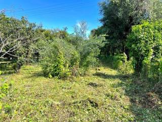 Plot - Grekodom 59230|857235