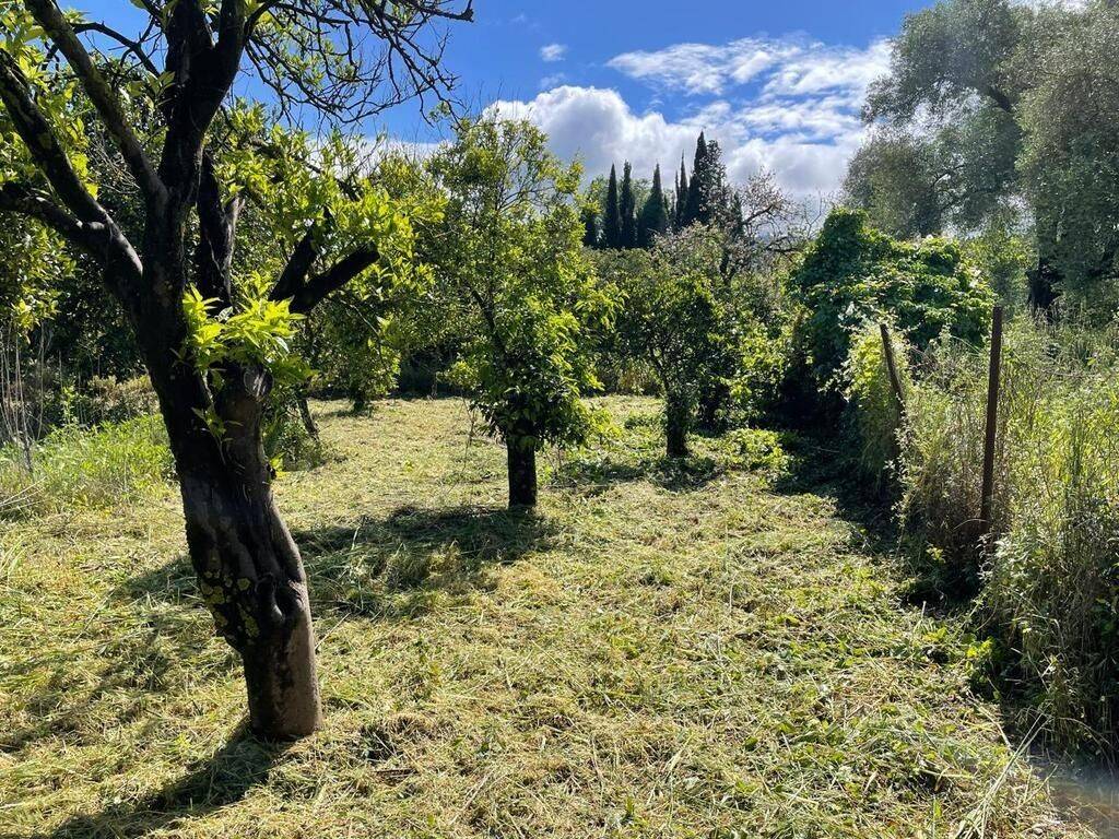 Plot - Grekodom 59230|857231