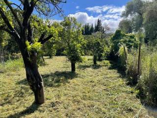 Plot - Grekodom 59230|857231