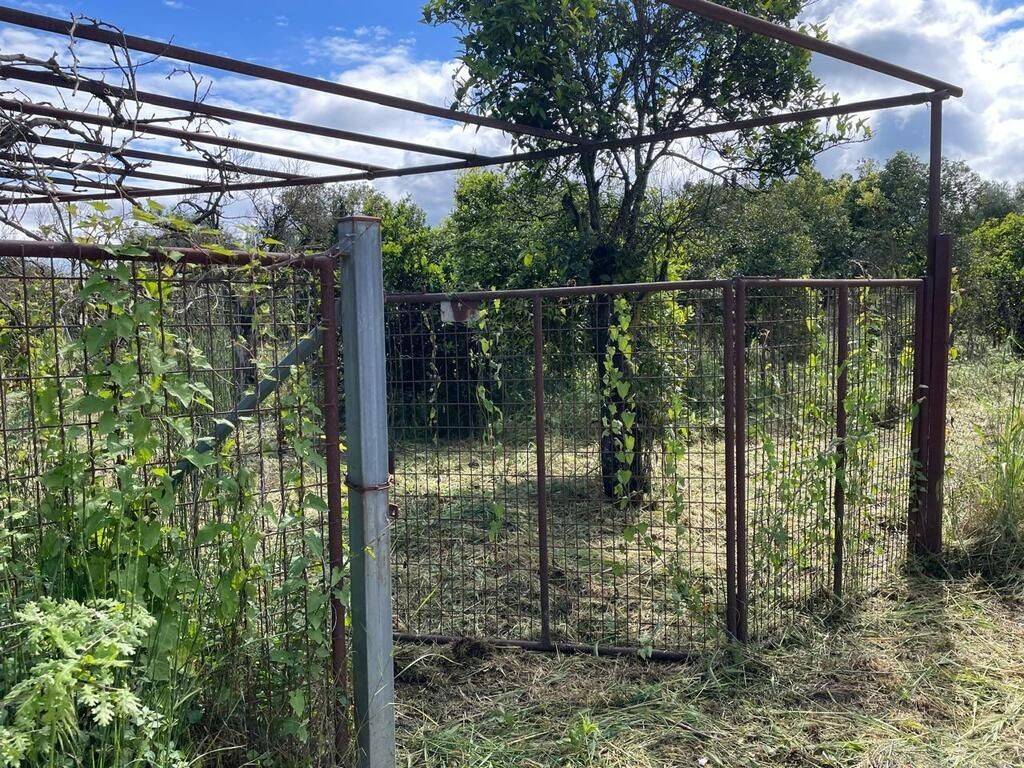 Plot - Grekodom 59230|857221