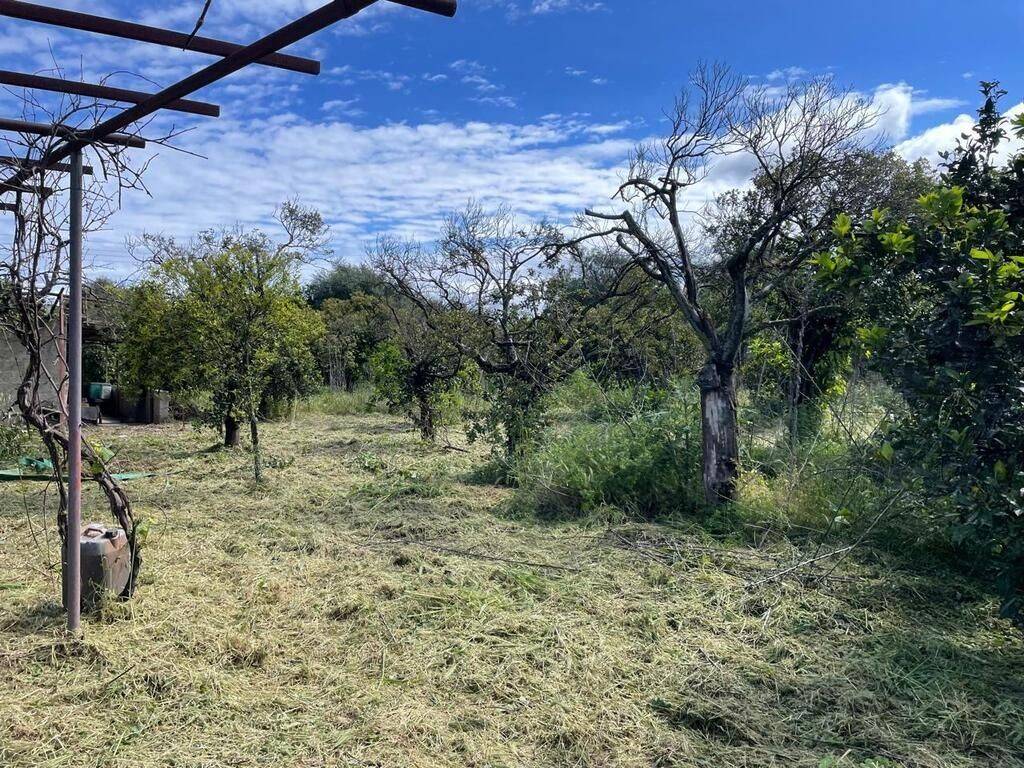 Plot - Grekodom 59230|857222