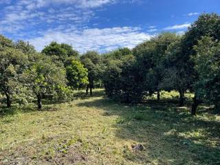 Plot - Grekodom 59230|857223