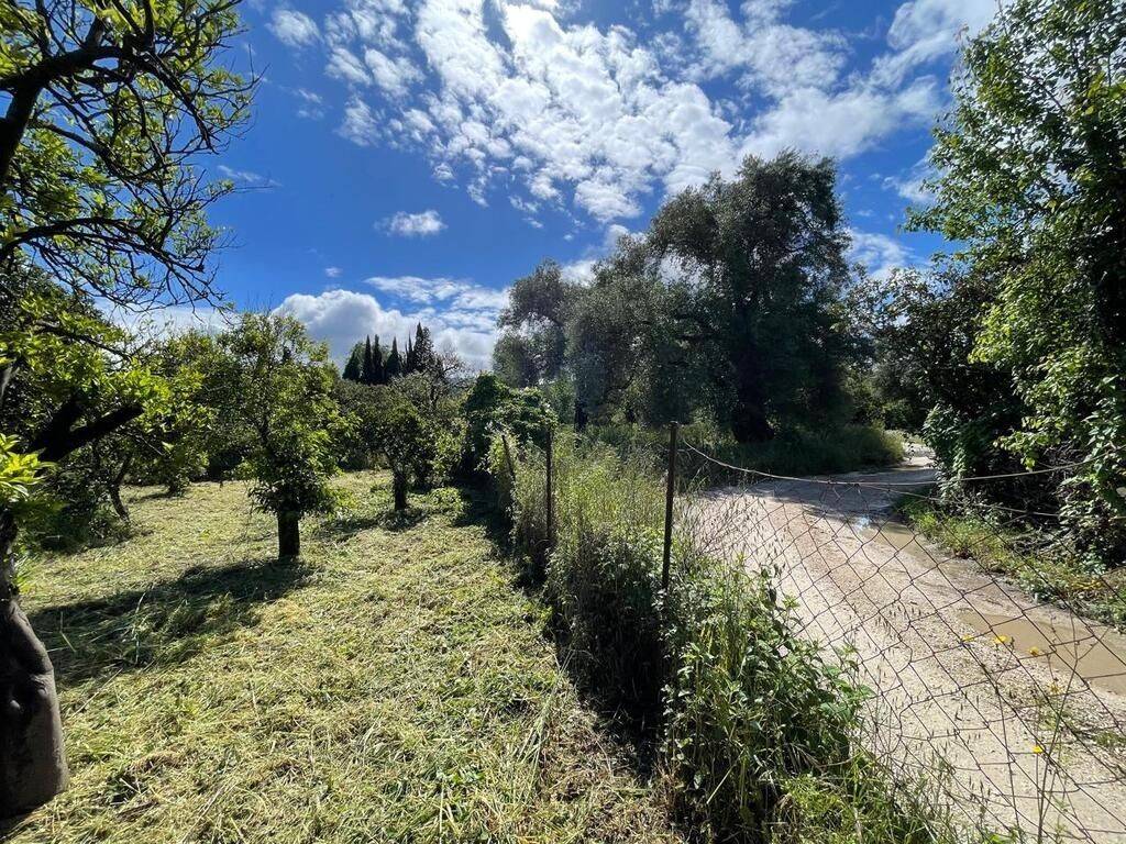 Plot - Grekodom 59230|857229