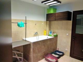 Building - Grekodom 36588|551637