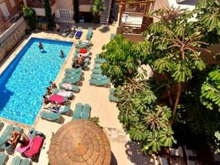 Hotel - Grekodom 50826|778843