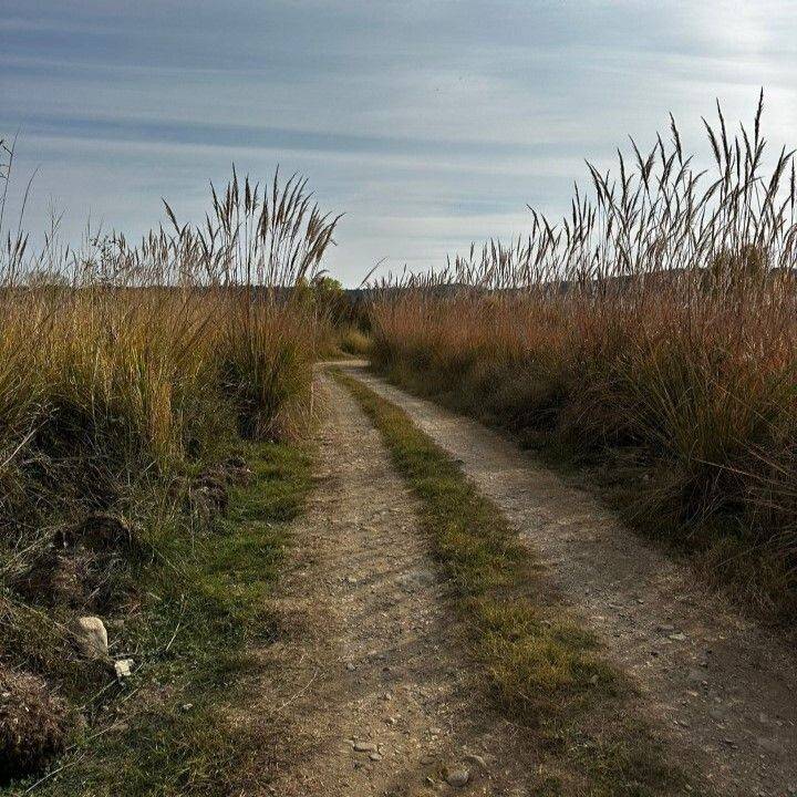 Plot - Grekodom 61406|925362