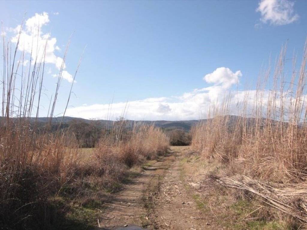 Plot - Grekodom 61406|925356