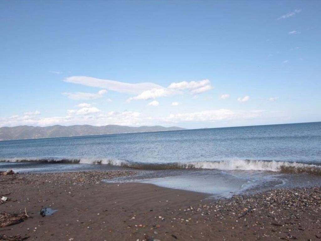 Plot - Grekodom 61406|925357