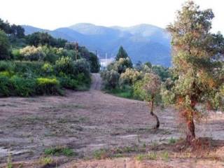 Plot - Grekodom 61440|925866