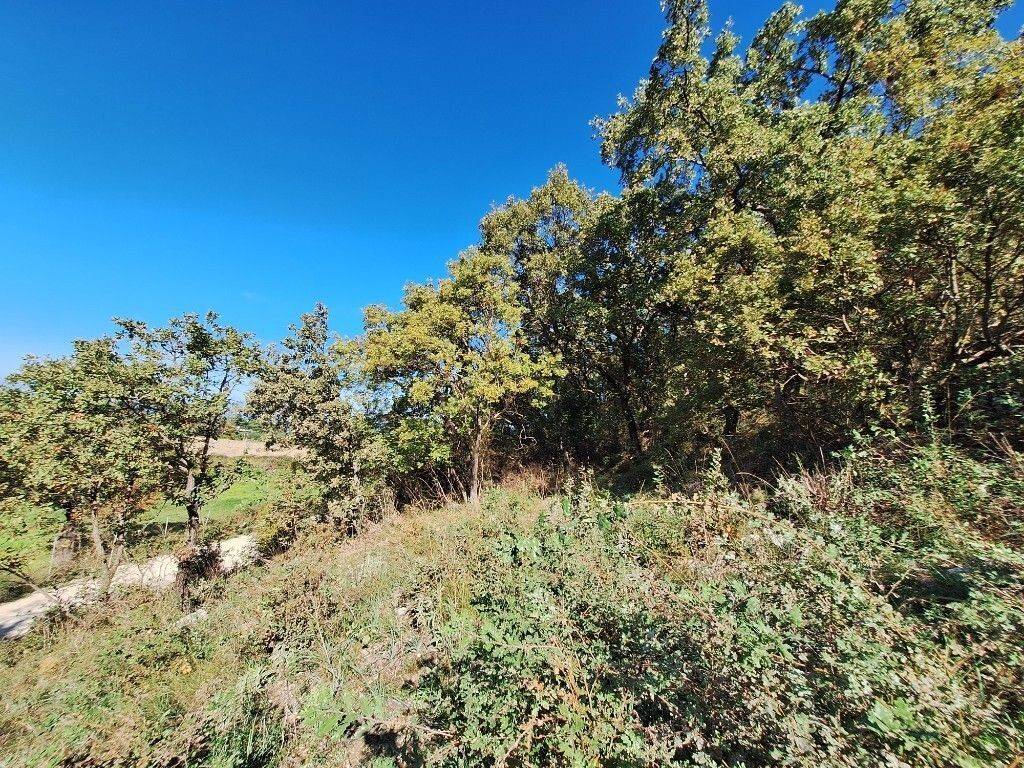 Plot - Grekodom 61454|926236