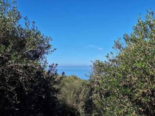 Maisonette - Grekodom 61457|926277