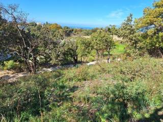 Plot - Grekodom 61454|926241