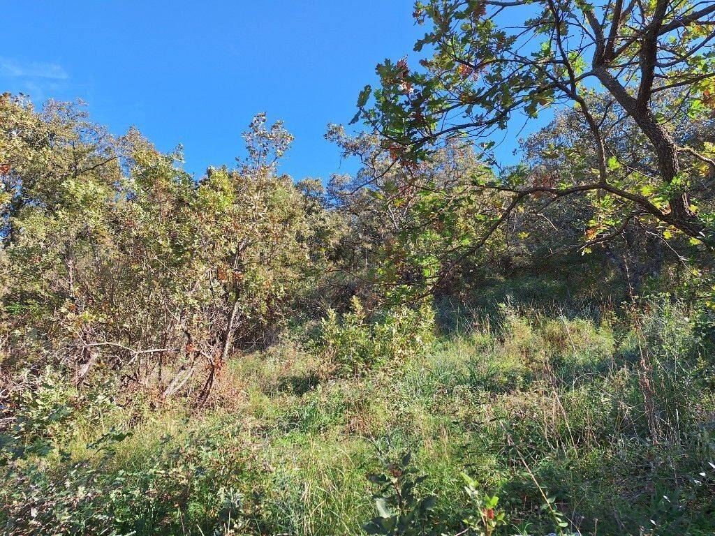 Plot - Grekodom 61454|926240