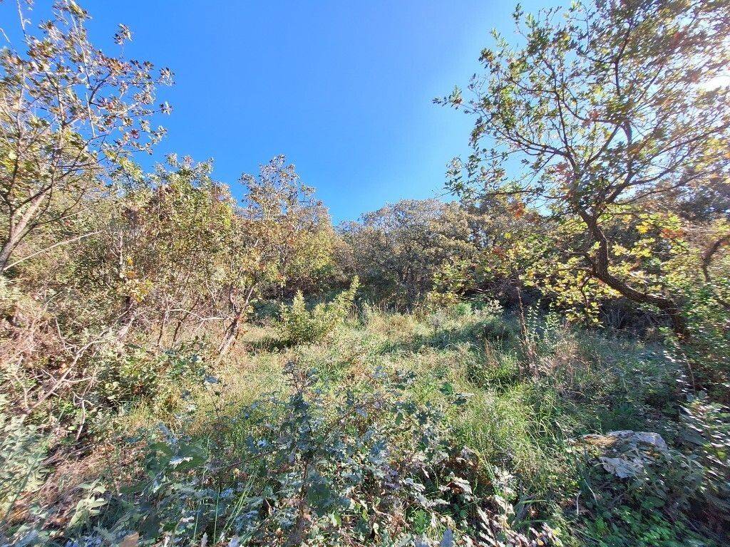 Plot - Grekodom 61454|926238