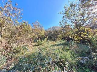 Plot - Grekodom 61454|926238