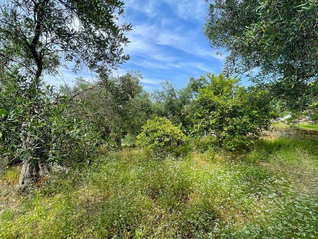 Maisonette - Grekodom 61457|990276