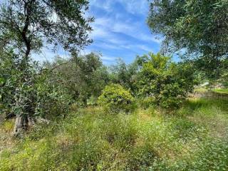 Maisonette - Grekodom 61457|990276