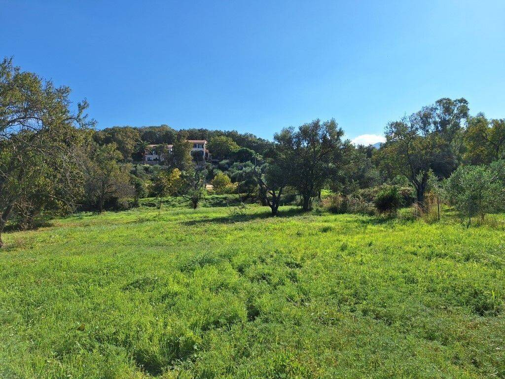 Plot - Grekodom 61456|926248