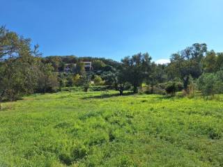 Plot - Grekodom 61456|926248