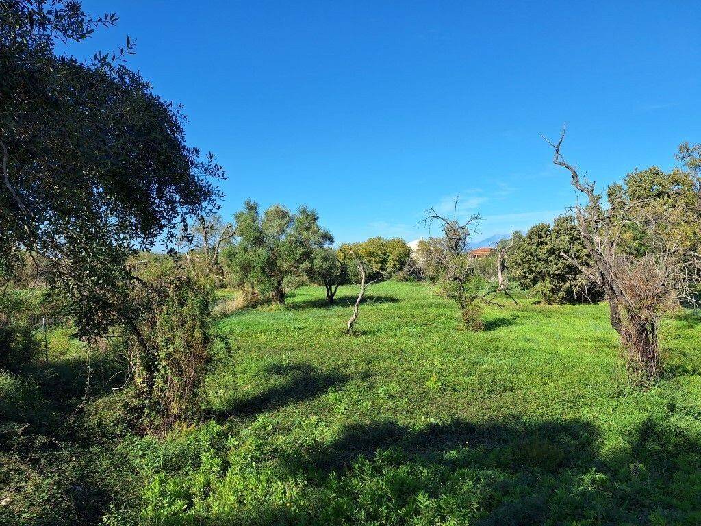 Plot - Grekodom 61456|926244