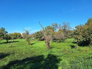 Plot - Grekodom 61456|926243